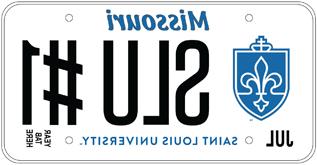 An illustration of an example 博彩网址大全 license plate reading S L U #1
