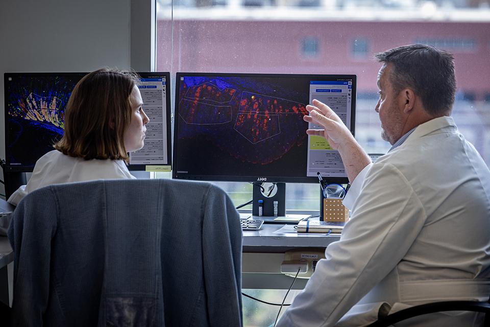 Two researchers sitting in a laboratory discuss images on a computer screen.